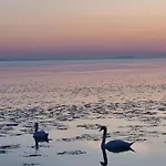 Villakali Apartment Balatonakali