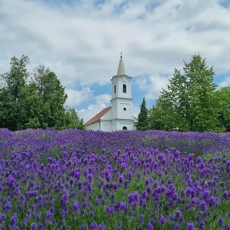 Villakali * Balatonakali