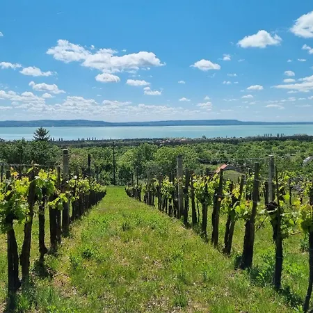 Villakali Appartamento *