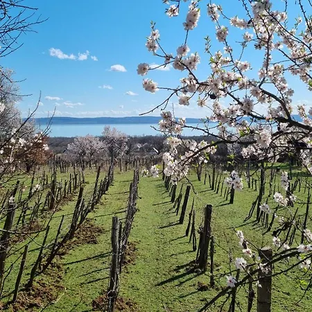Apartment Villakali Balatonakali