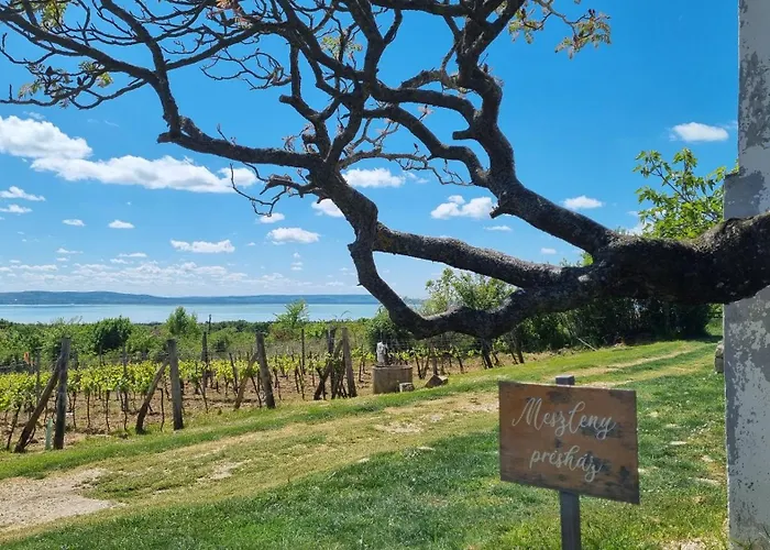 Apartment Villakali *