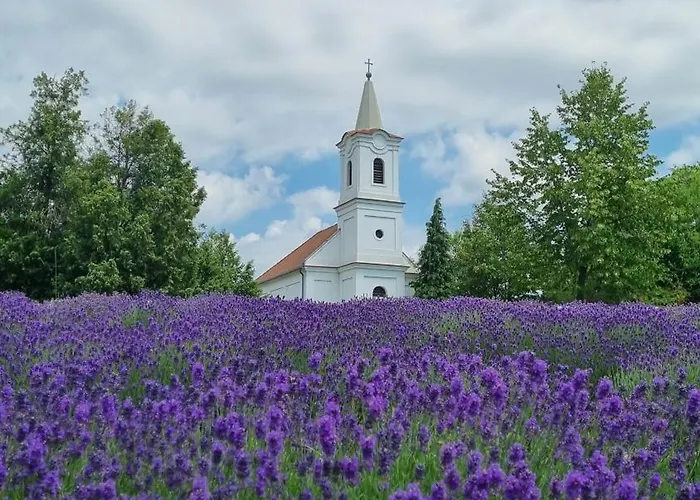 Villakali * Балатонакали