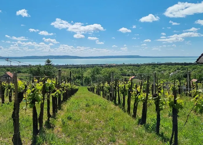 Villakali Apartment *