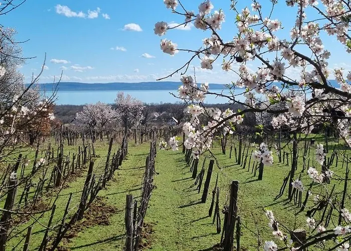 Apartment Villakali Balatonakali