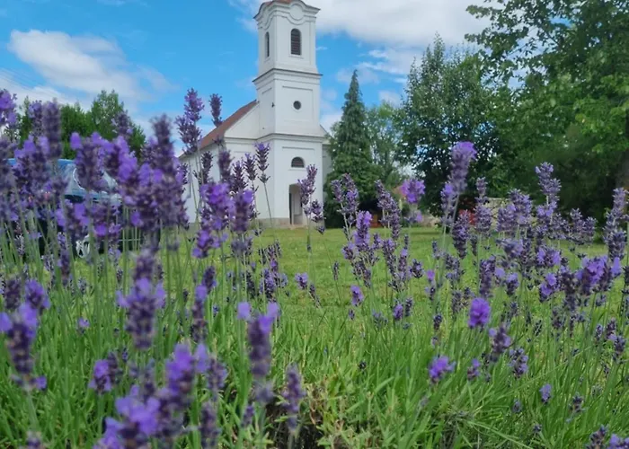 Villakali * Балатонакали